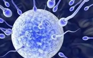 女未婚男已婚去上海瑞金医院做三代试管婴儿生孩子可以吗？成功率有多少？