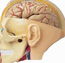 贵阳三代试管技术生一个孩子费用大概多少？费用细节整理公开