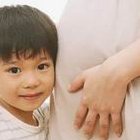 红房子试管婴儿的费用是多少？三代试管移植是不是冻胚？