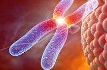 在精子存储医院精子做试管婴儿成功的案例多吗？