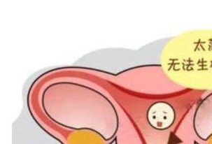 高龄女性试管移植子宫内膜厚度需多少才正常？